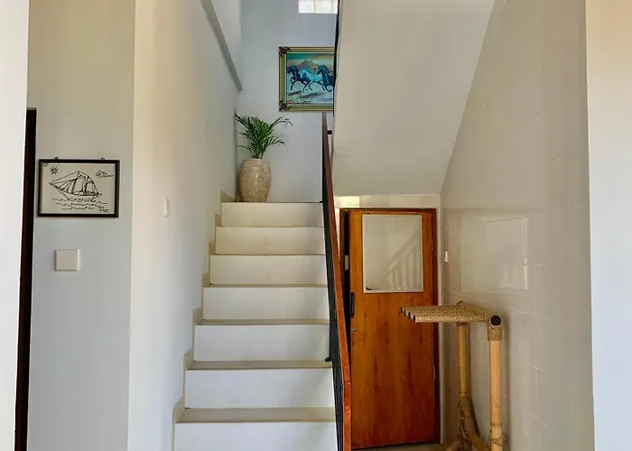 The Lima In Guest house